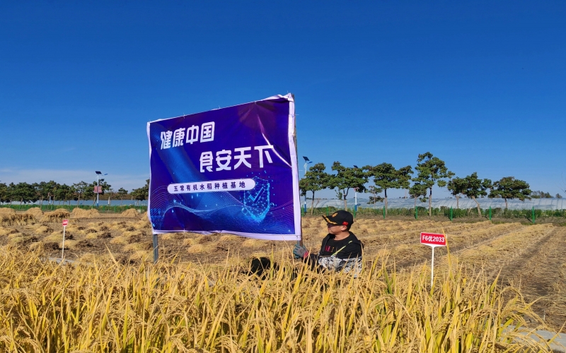 星空体育体育官方网站集团：一粒“种子”的新担当