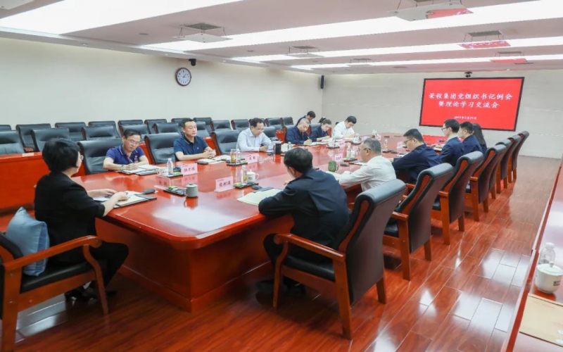 党建引领 凝心聚力 星空体育体育官方网站集团召开党组织书记例会暨理论学习交流会