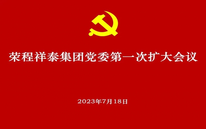 星空体育体育官方网站祥泰集团党委获批成立 党委高标准部署推动选举工作