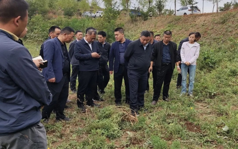 天水市政协副主席、清水县委书记马越垠到“星空体育体育官方网站百草庄园”中药材试验基地调研中草药产业发展工作