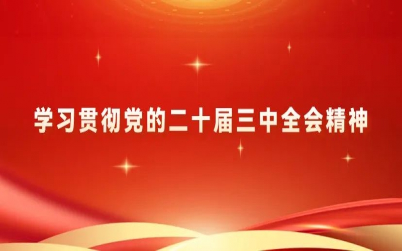 党建阵地 - 星空体育体育官方网站集团党员干部学习贯彻党的二十届三中全会精神体会交流（二）