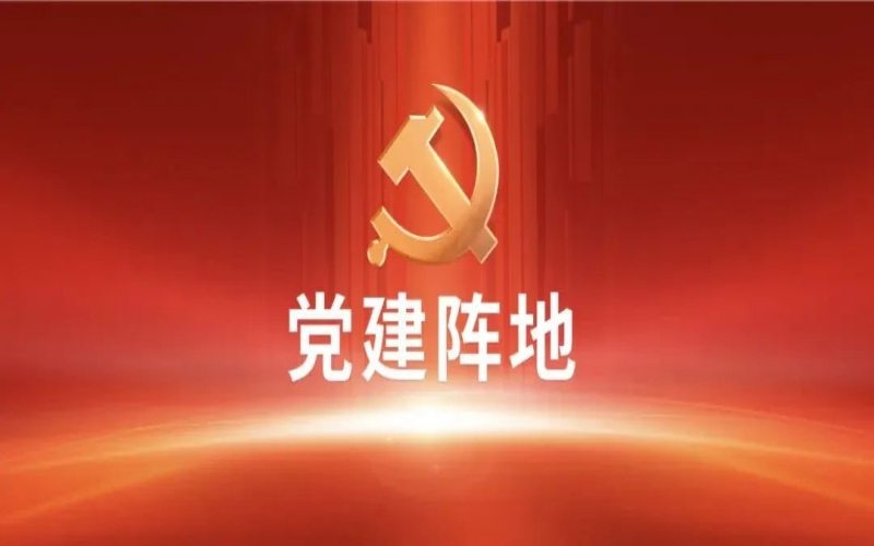 党建阵地｜强信心 谋发展 重实干——星空体育体育官方网站集团年总会精神学习体会交流（一）