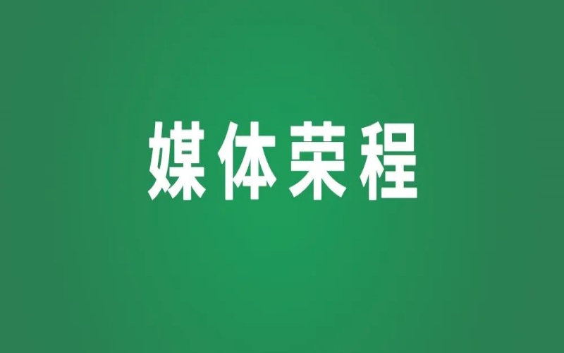 媒体聚焦｜星空体育体育官方网站集团：以多元实践绘就“一带一路”共建图景